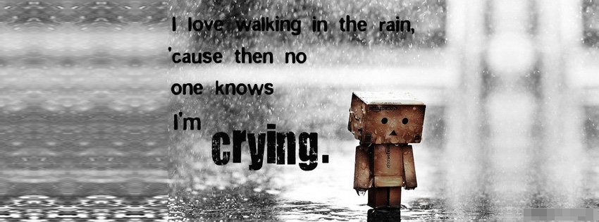love_walking_in_the_rain_facebook_cover_1349171224