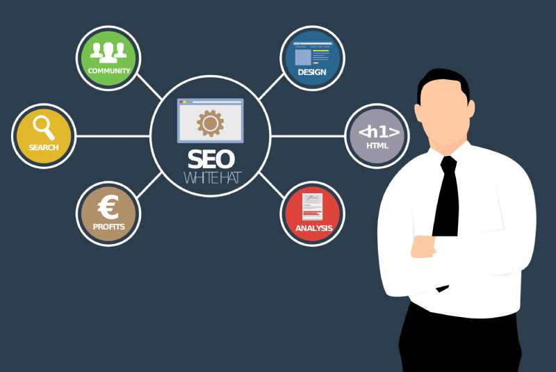 Search Engine Optimization for Startups