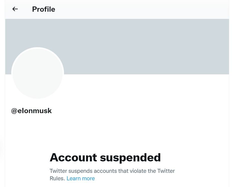 Twitter suspends E(I)on Musk's Twitter account