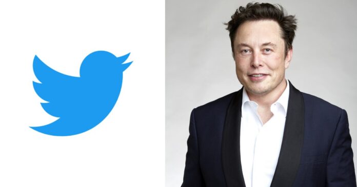 Is it time for an Elon Musk vs Twitter CEO Parag Agrawal face-off?